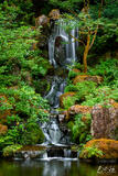 GARDEN FALLS