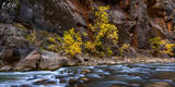 VIRGIN RIVER FALL