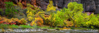 AUTUMN MOOD PANO