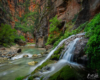 CANYON SPRING