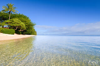 ISLAND OASIS