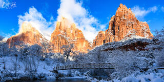 WINTER COURT