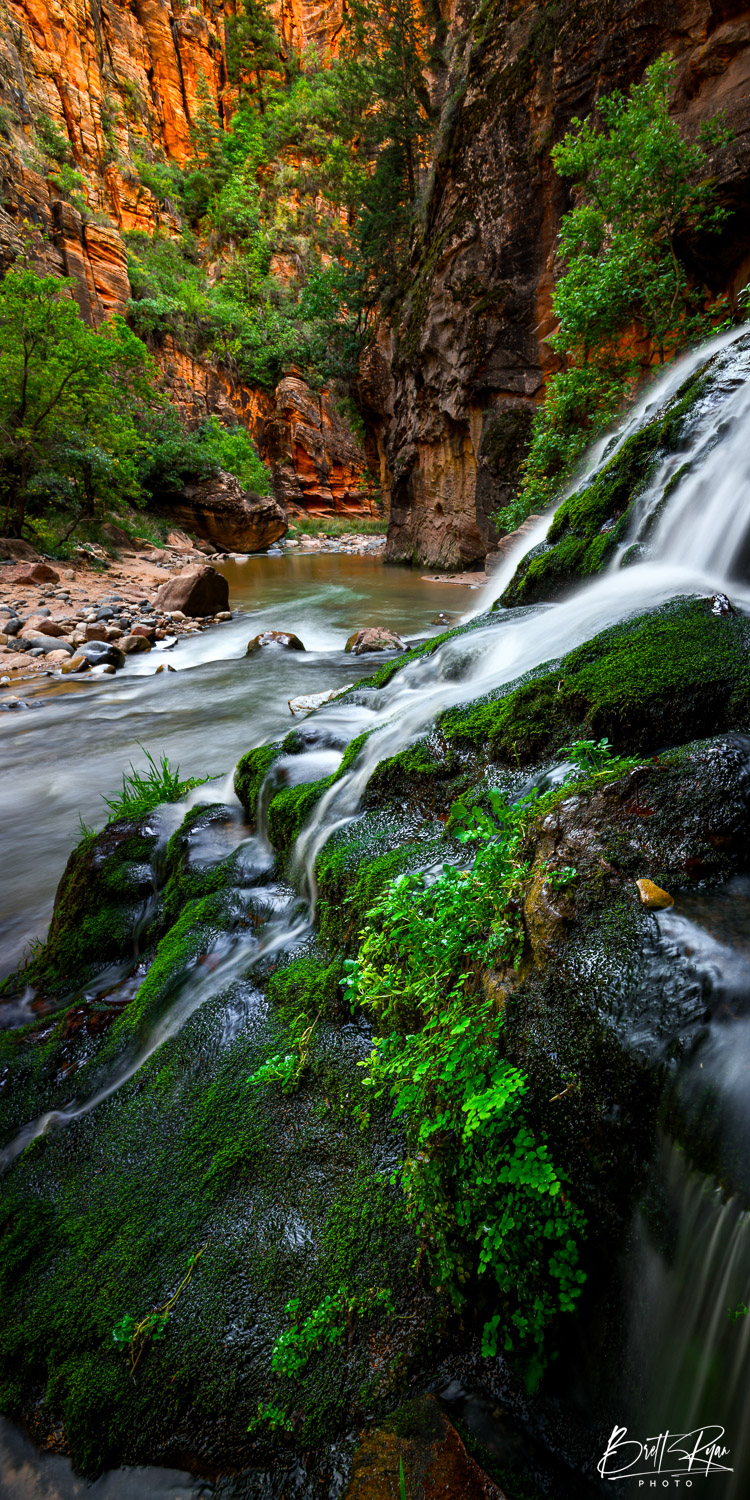 ETERNAL SPRINGS (V) Zion National Park, Utah USA. Brett Ryan