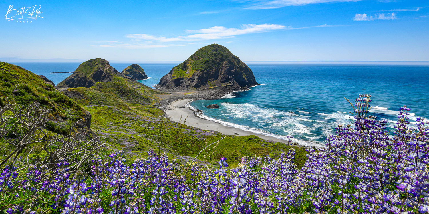This image was captured along the beautiful coastline of Oregon during Spring. Limited Edition Print of 50.