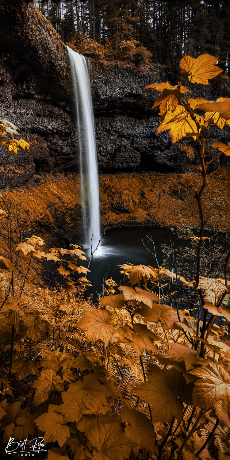 Image captured in Silver Falls State Park. Limited Edition Print of 50.