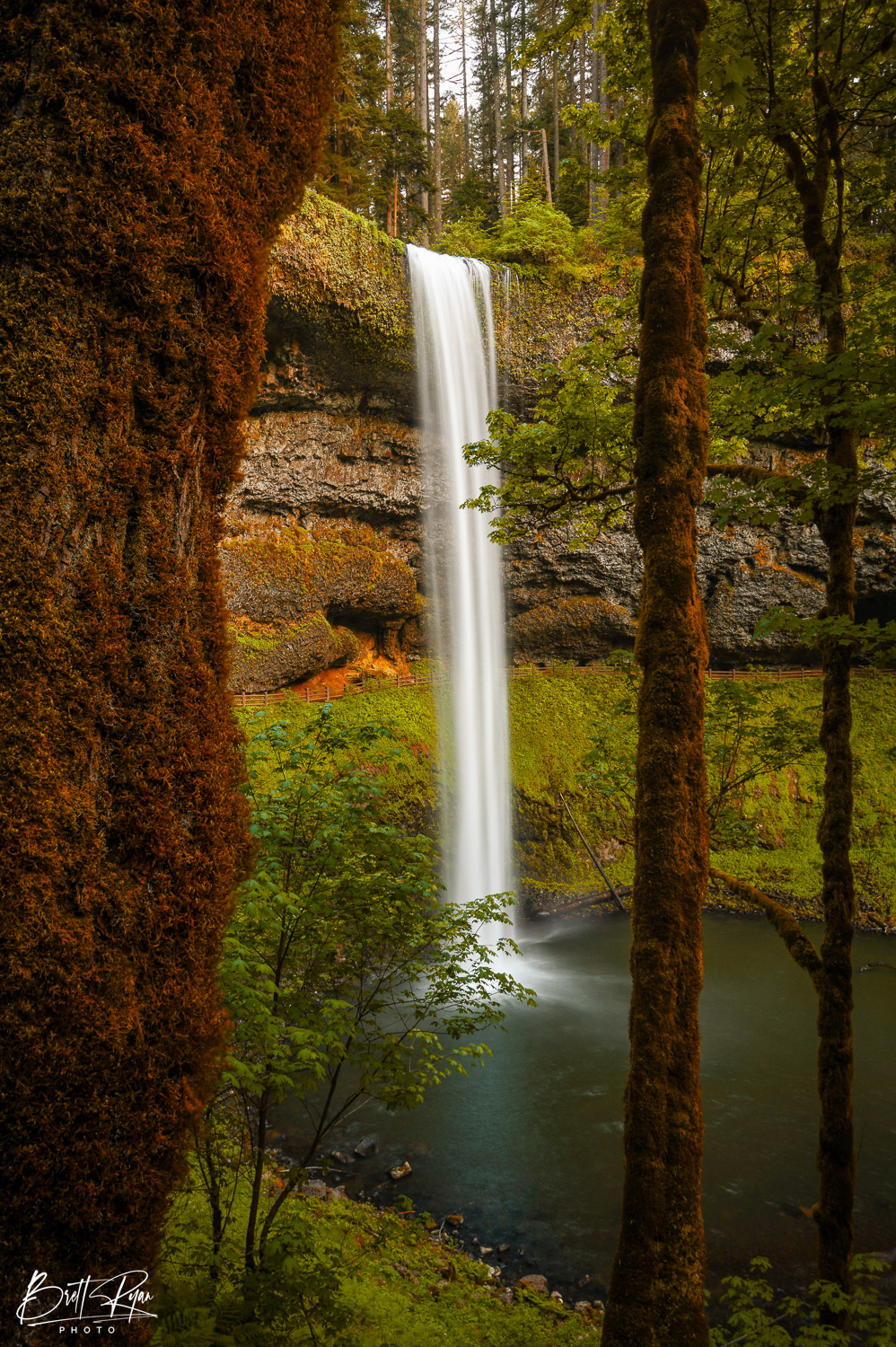 Image taken at South Falls in Silver Falls State Park. Limited Edition Print of 50.