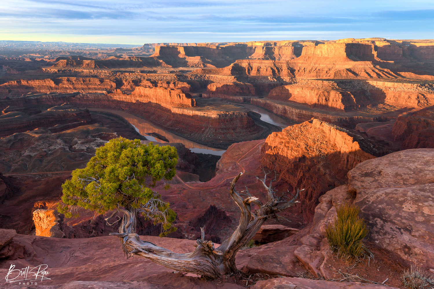 Image taken during sunrise at Dead Horse Point State Park. Limited Edition Print of 100.