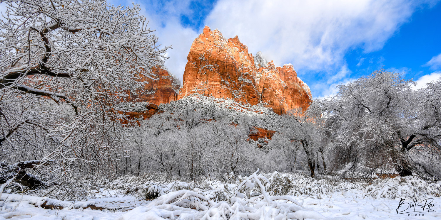 Image captured during the winter in Zion National Park. Limited Edition Print of 100.